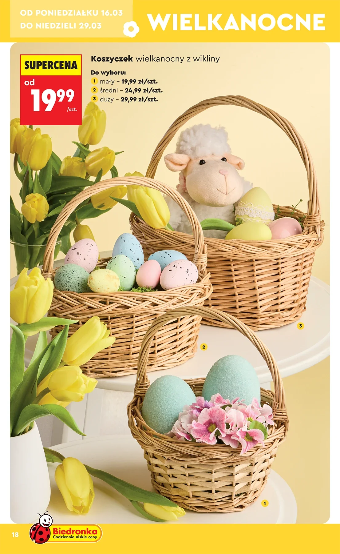 Gazetka promocyjna Biedronka str. 18