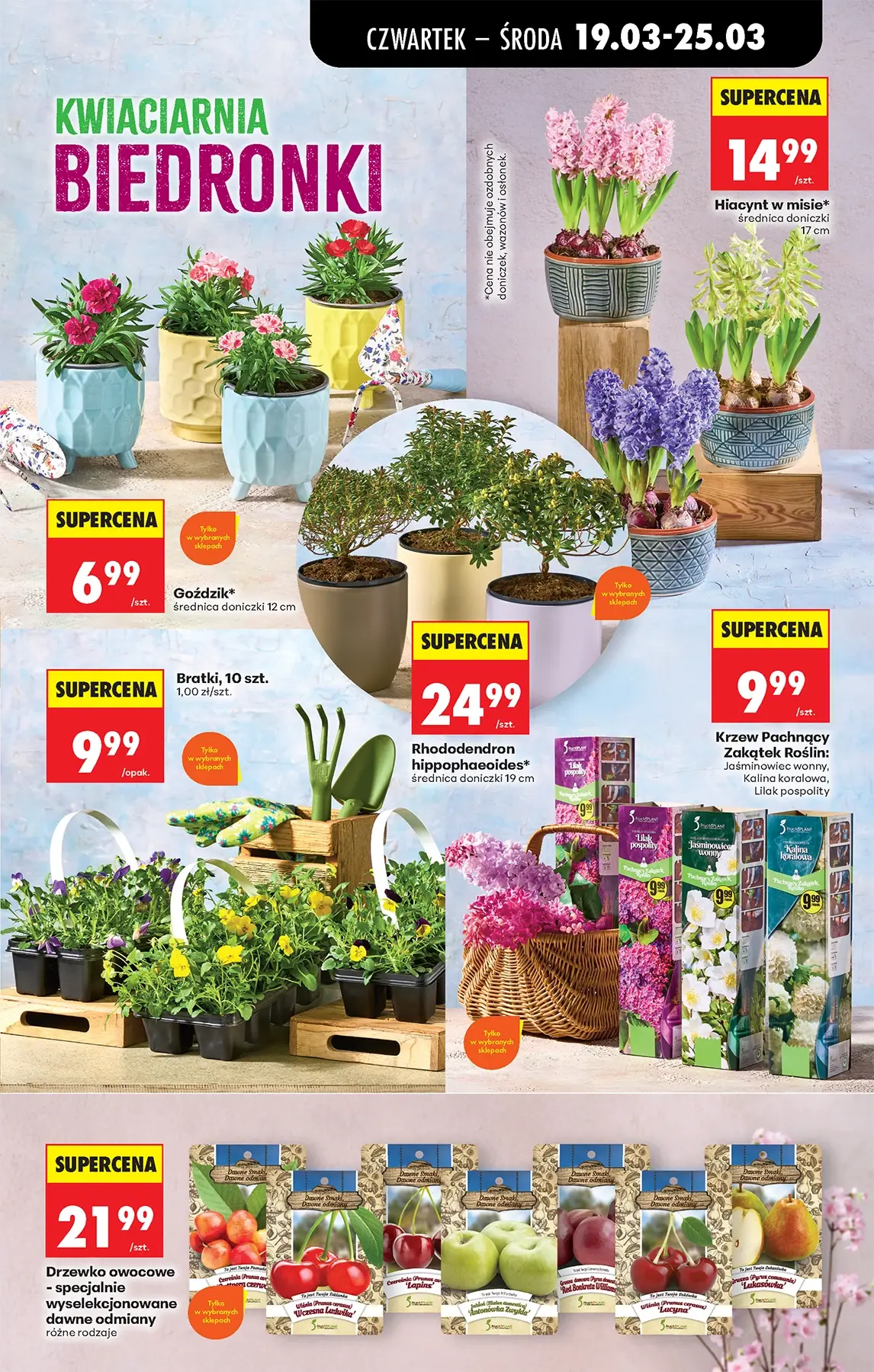 Gazetka promocyjna Biedronka str. 77