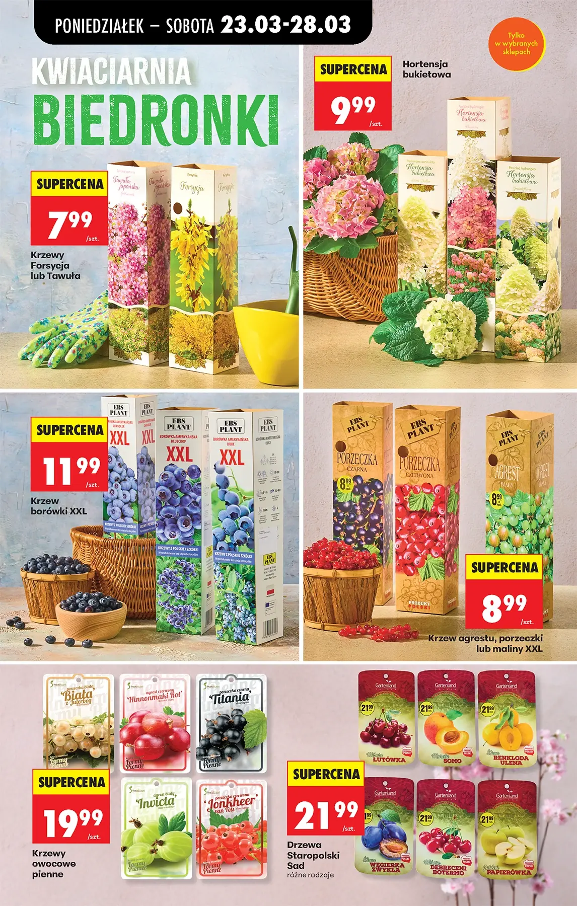 Gazetka promocyjna Biedronka str. 74