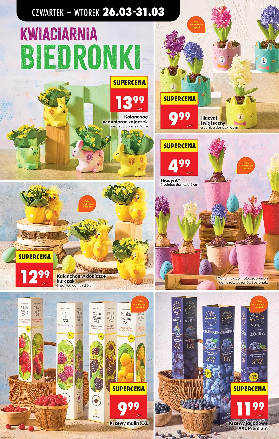 Gazetka promocyjna Biedronka str. 66