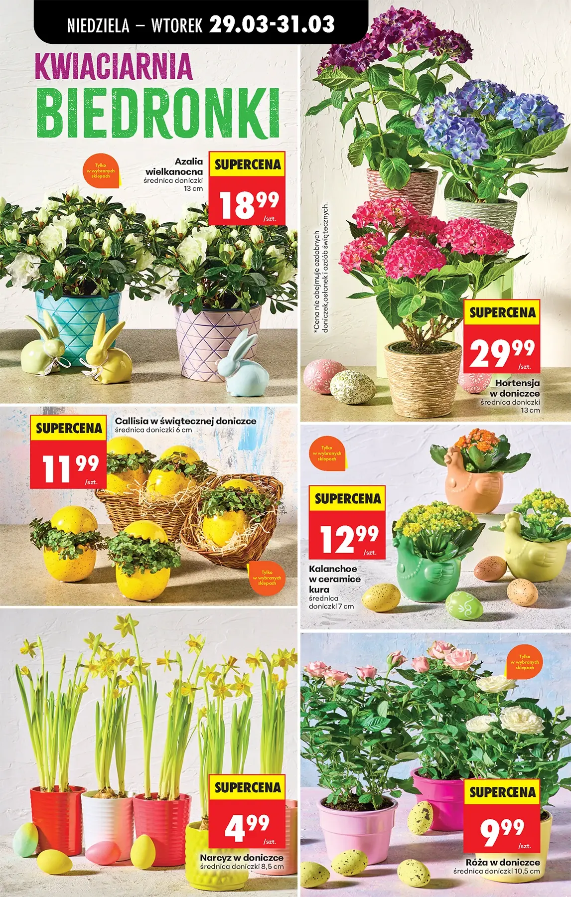 Gazetka promocyjna Biedronka str. 96