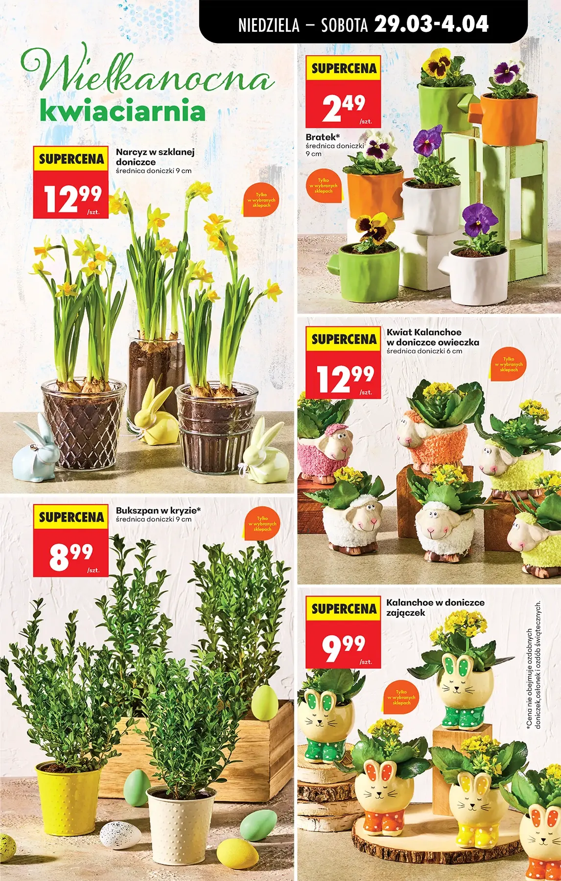 Gazetka promocyjna Biedronka str. 17