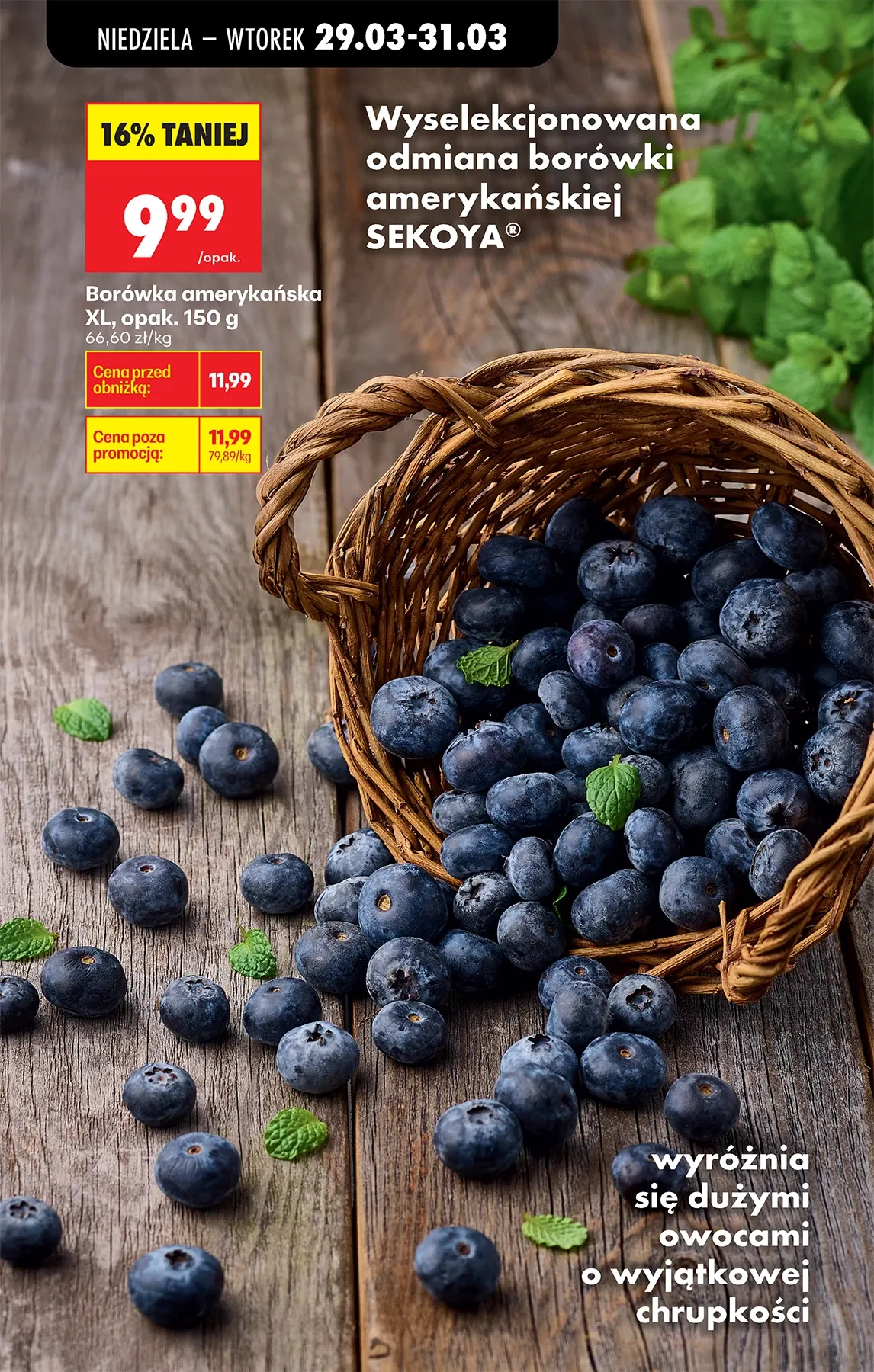 Gazetka promocyjna Biedronka str. 79