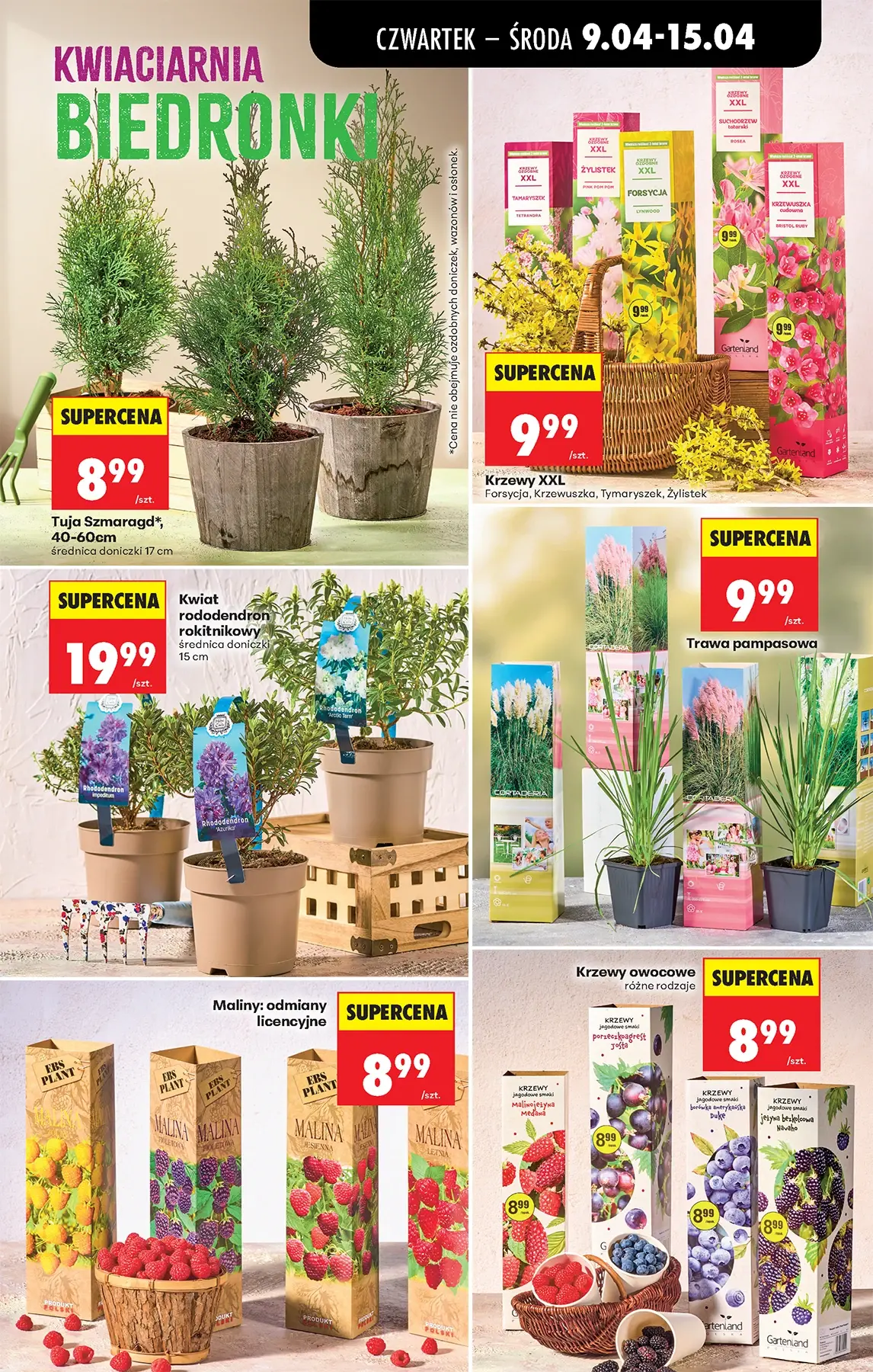 Gazetka promocyjna Biedronka str. 83