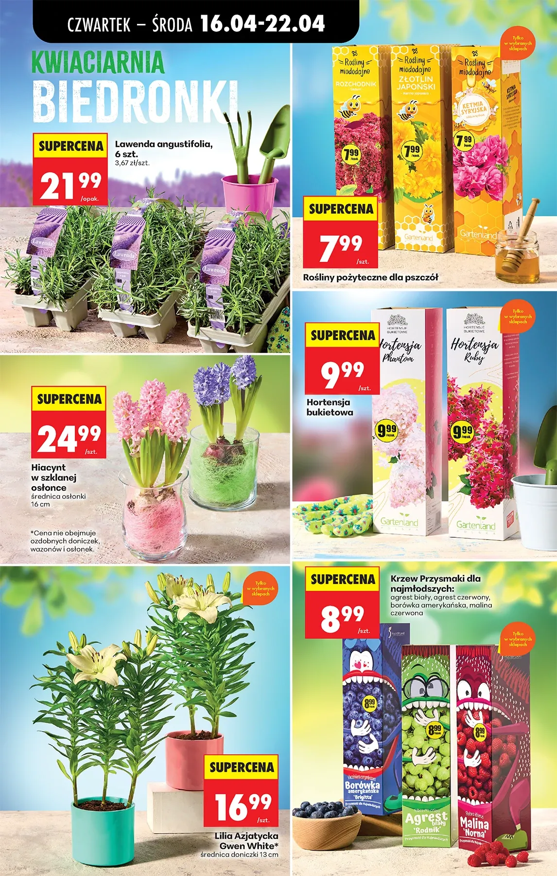 Gazetka promocyjna Biedronka str. 43