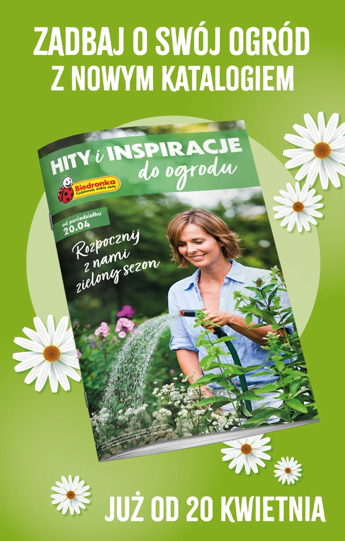 Gazetka promocyjna Biedronka str. 87