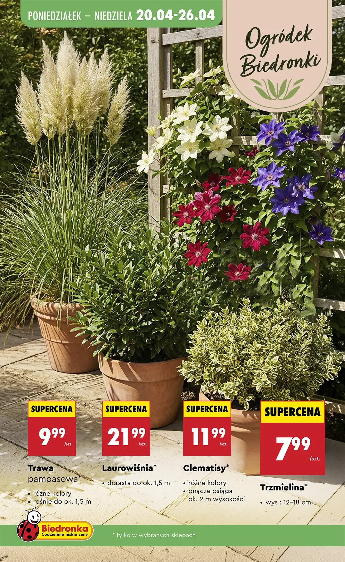 Gazetka promocyjna Biedronka str. 89