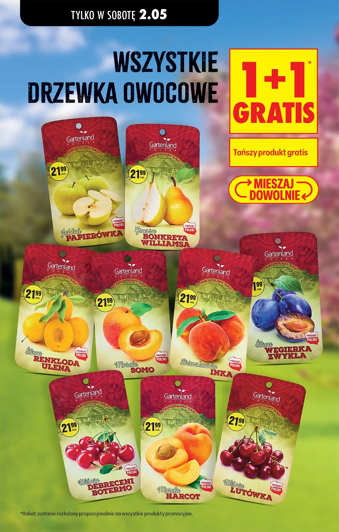 Gazetka promocyjna Biedronka str. 4