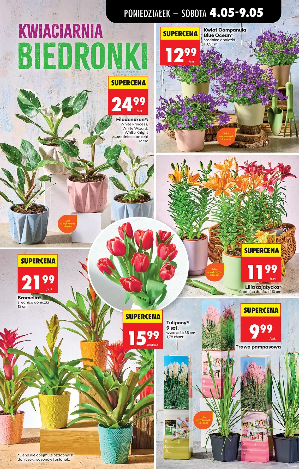 Gazetka promocyjna Biedronka str. 61