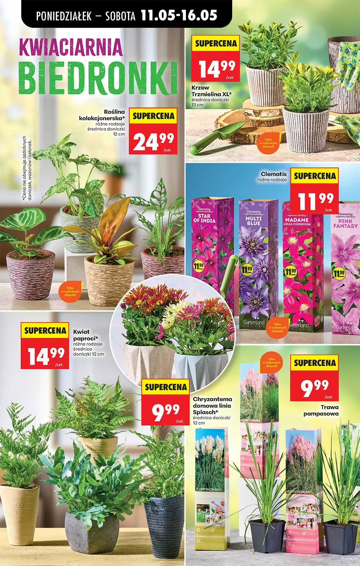 Gazetka promocyjna Biedronka str. 81