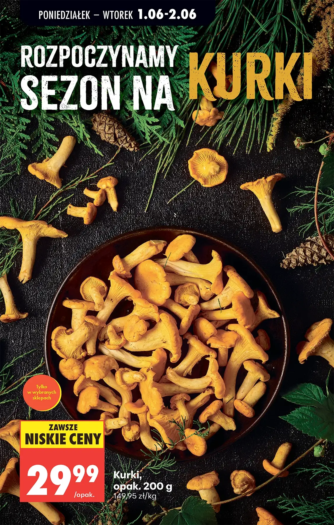 Gazetka promocyjna Biedronka str. 84
