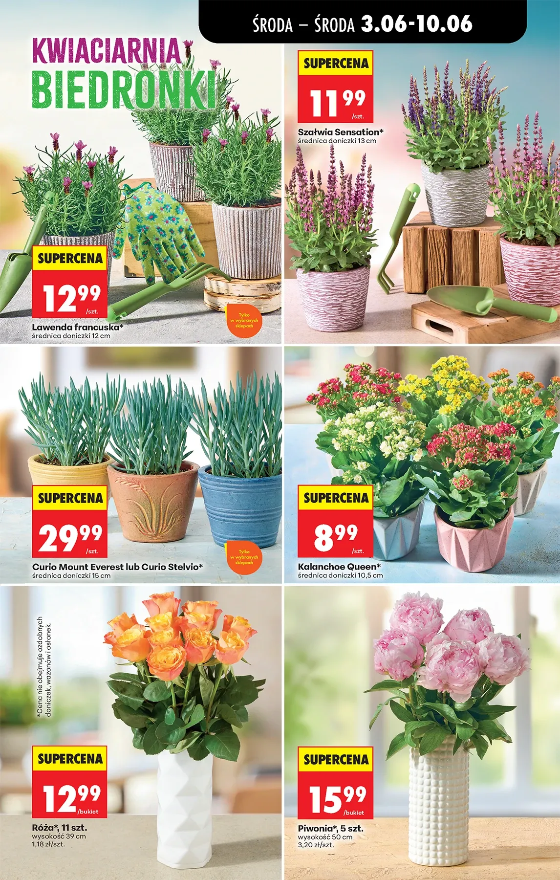 Gazetka promocyjna Biedronka str. 69
