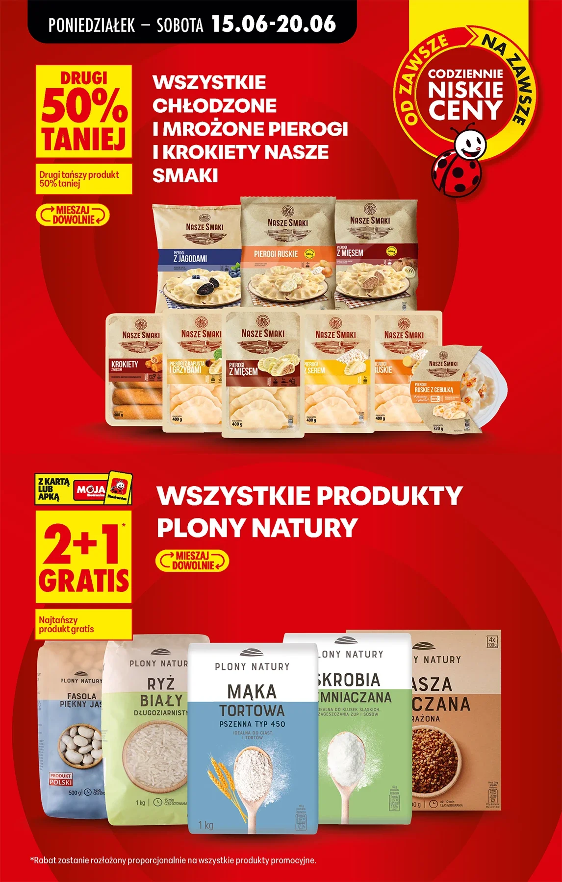 Gazetka promocyjna Biedronka str. 13