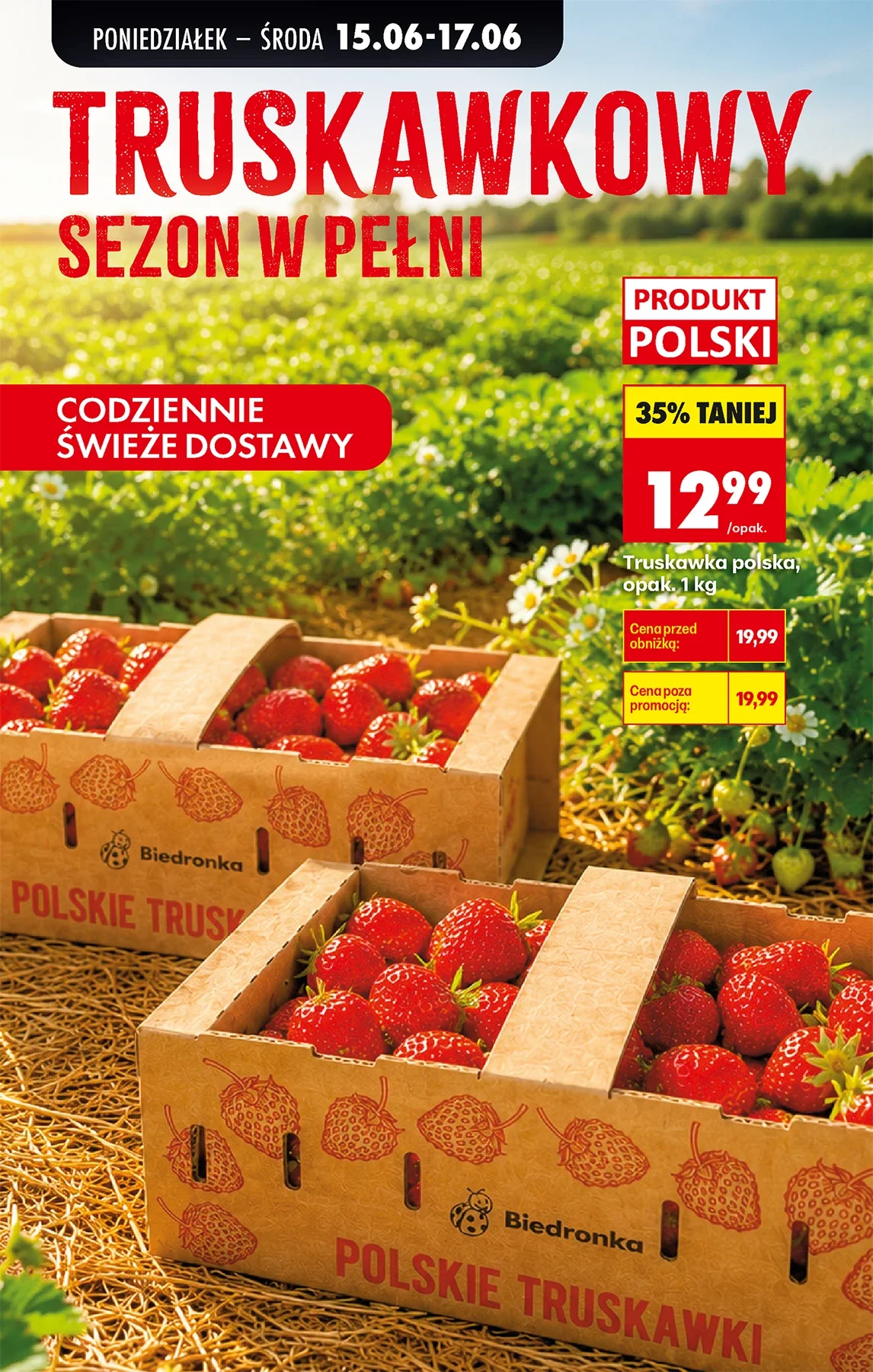 Gazetka promocyjna Biedronka str. 31