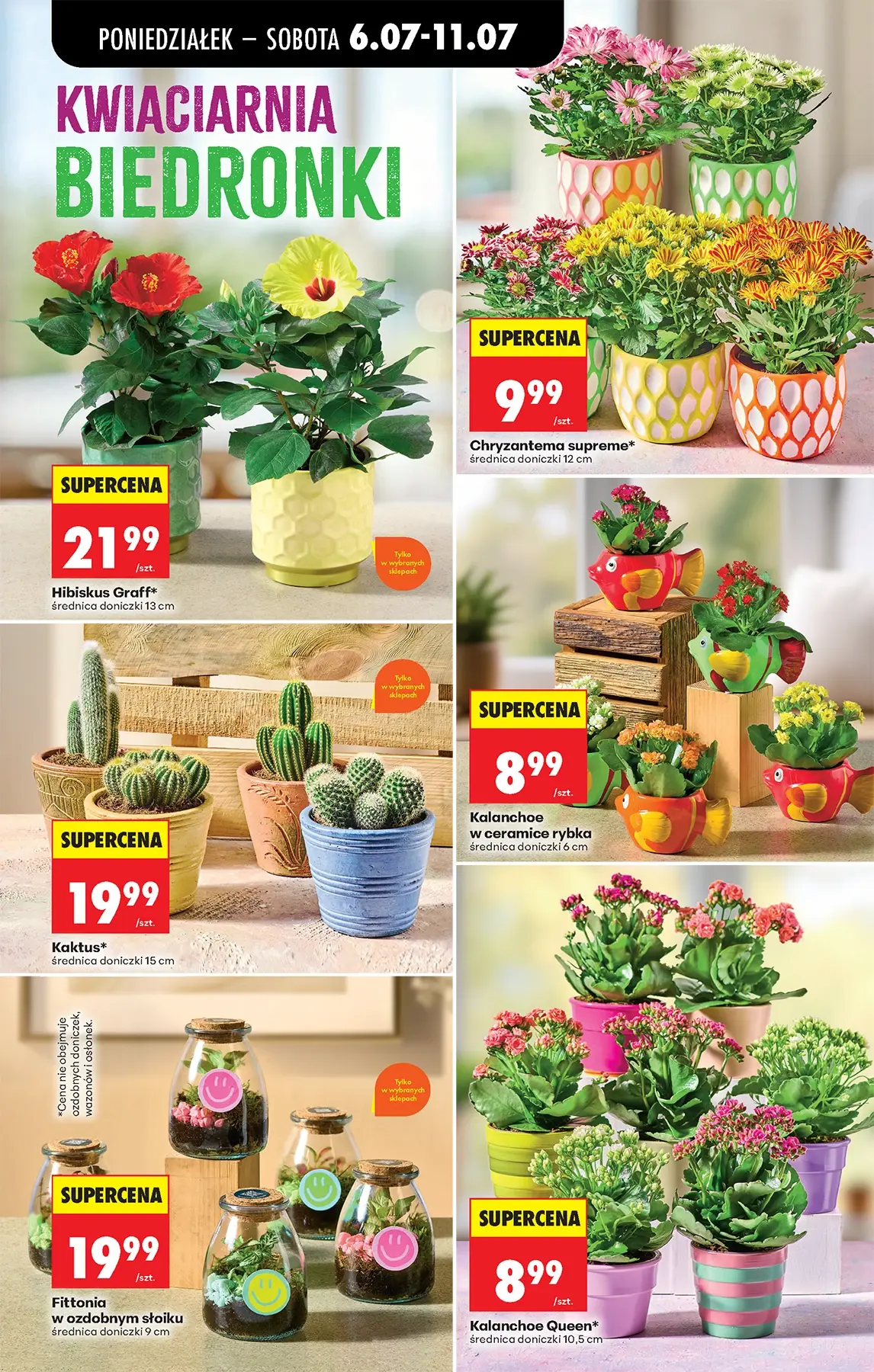 Gazetka promocyjna Biedronka str. 62
