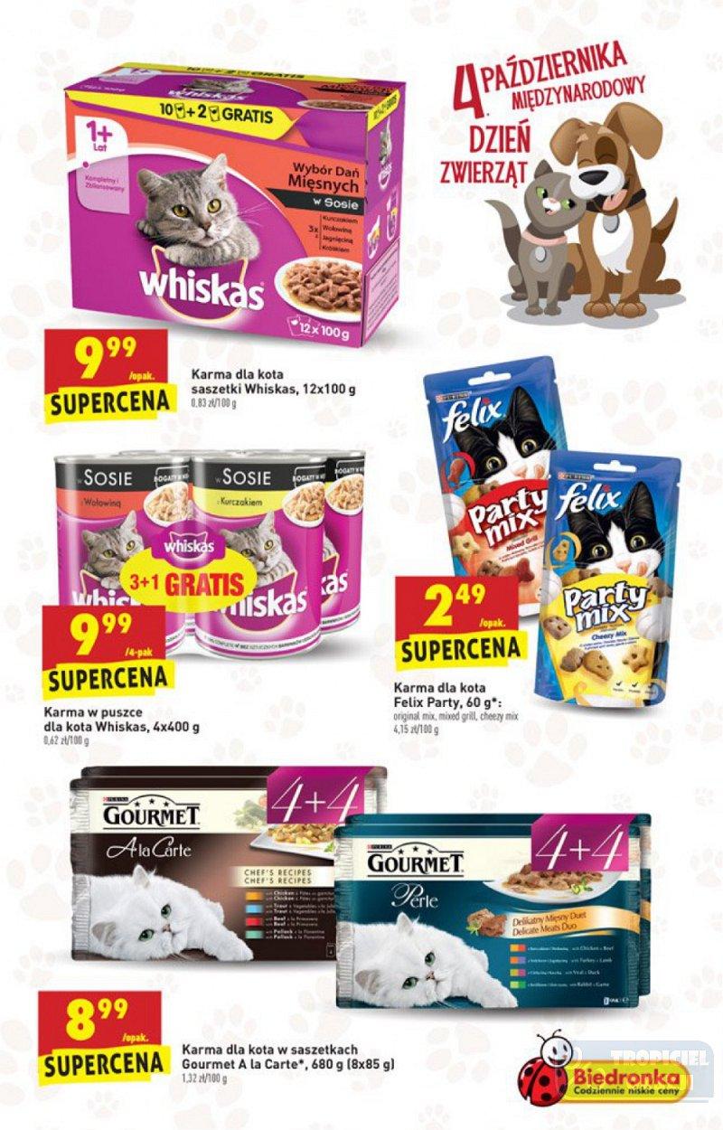 Gazetka promocyjna Biedronka str. 43