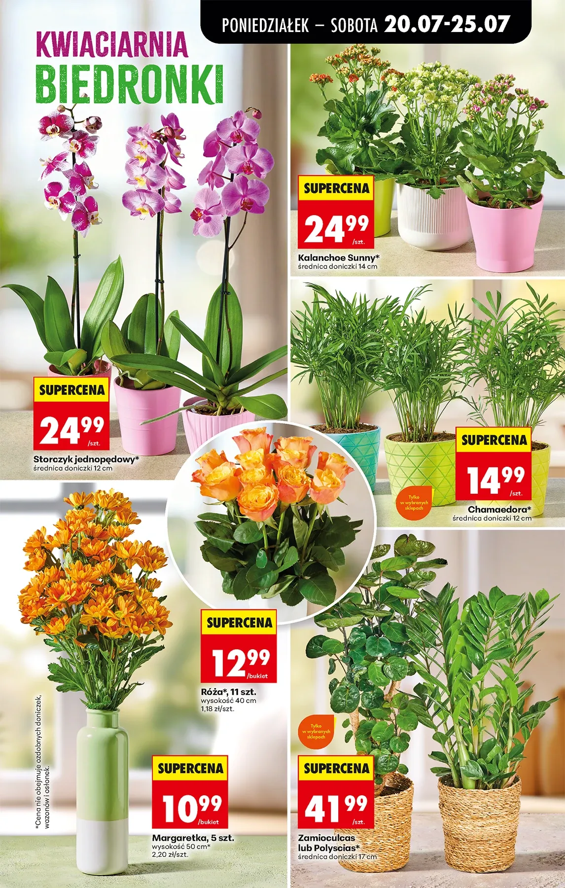 Gazetka promocyjna Biedronka str. 62