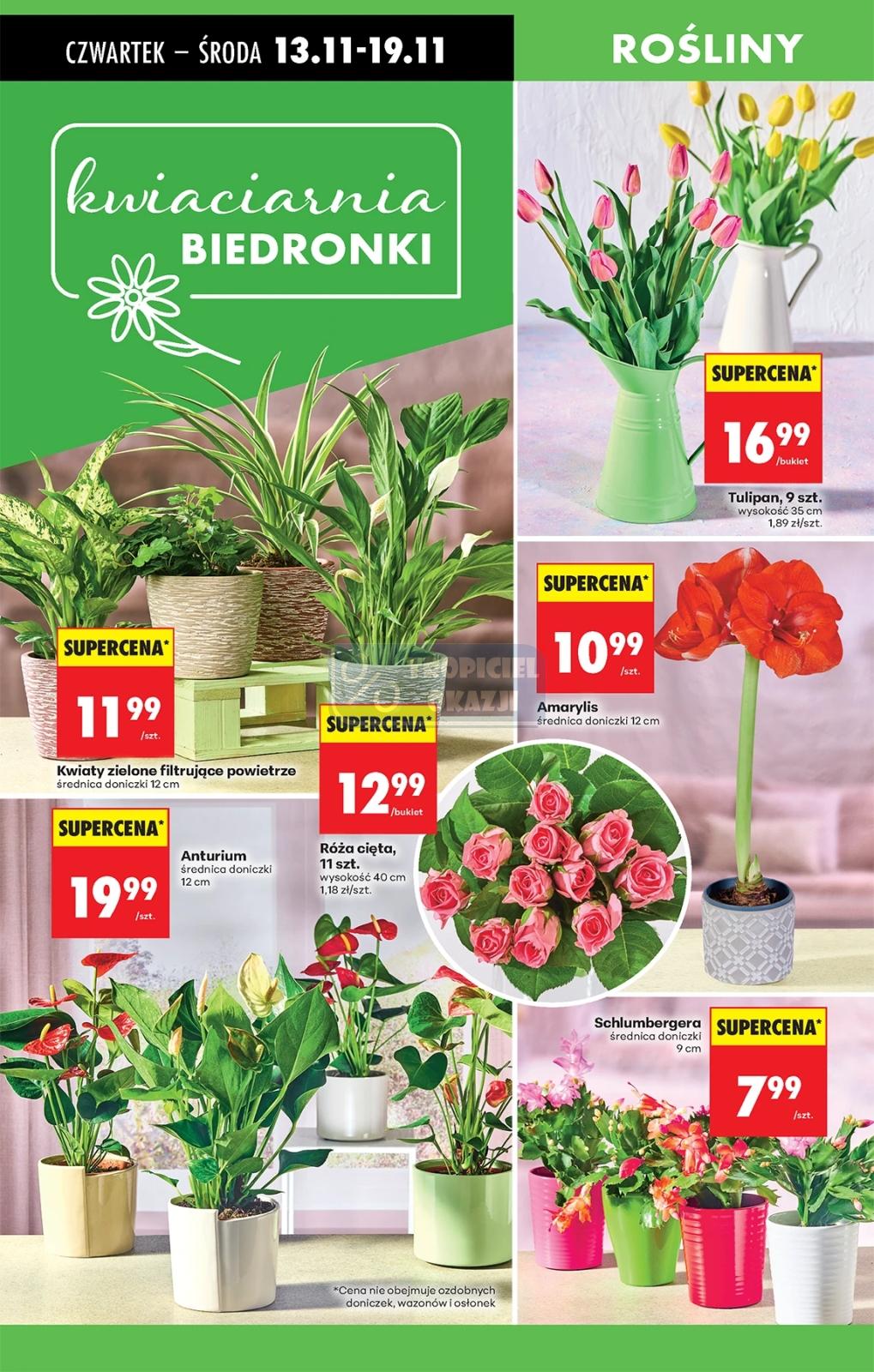 Gazetka promocyjna Biedronka str. 83