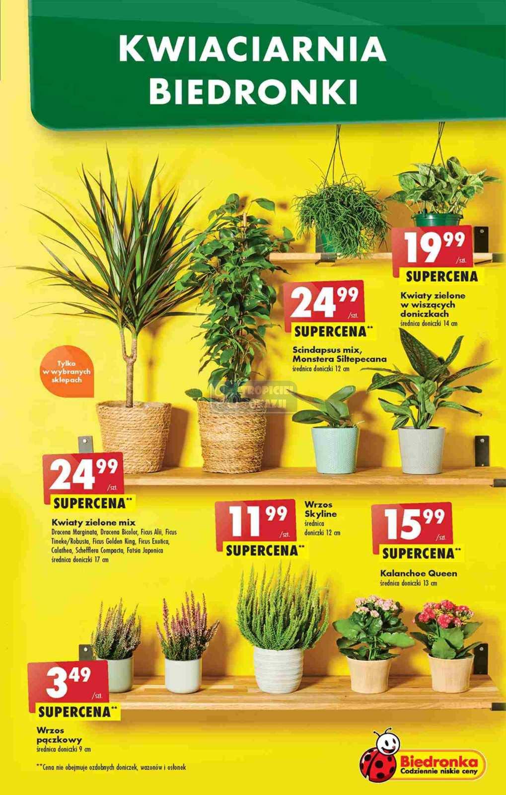 Gazetka promocyjna Biedronka str. 7