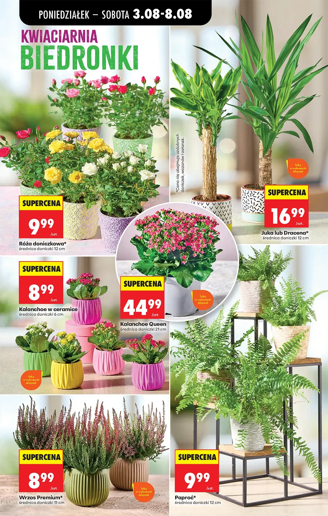 Gazetka promocyjna Biedronka str. 64