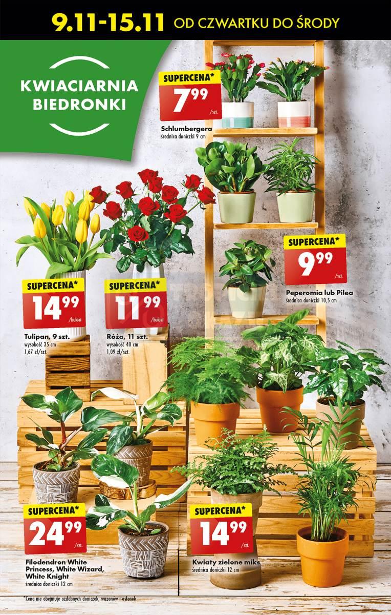 Gazetka promocyjna Biedronka str. 60