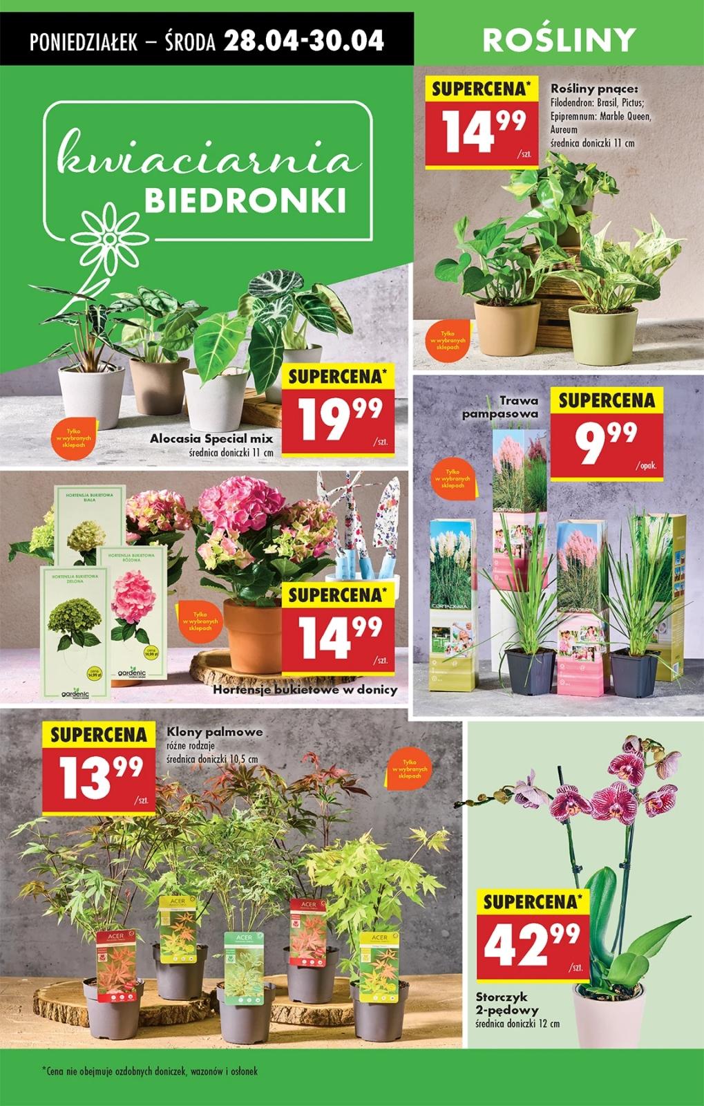 Gazetka promocyjna Biedronka str. 3