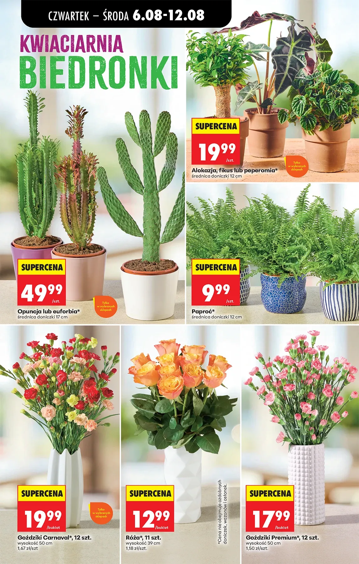 Gazetka promocyjna Biedronka str. 31