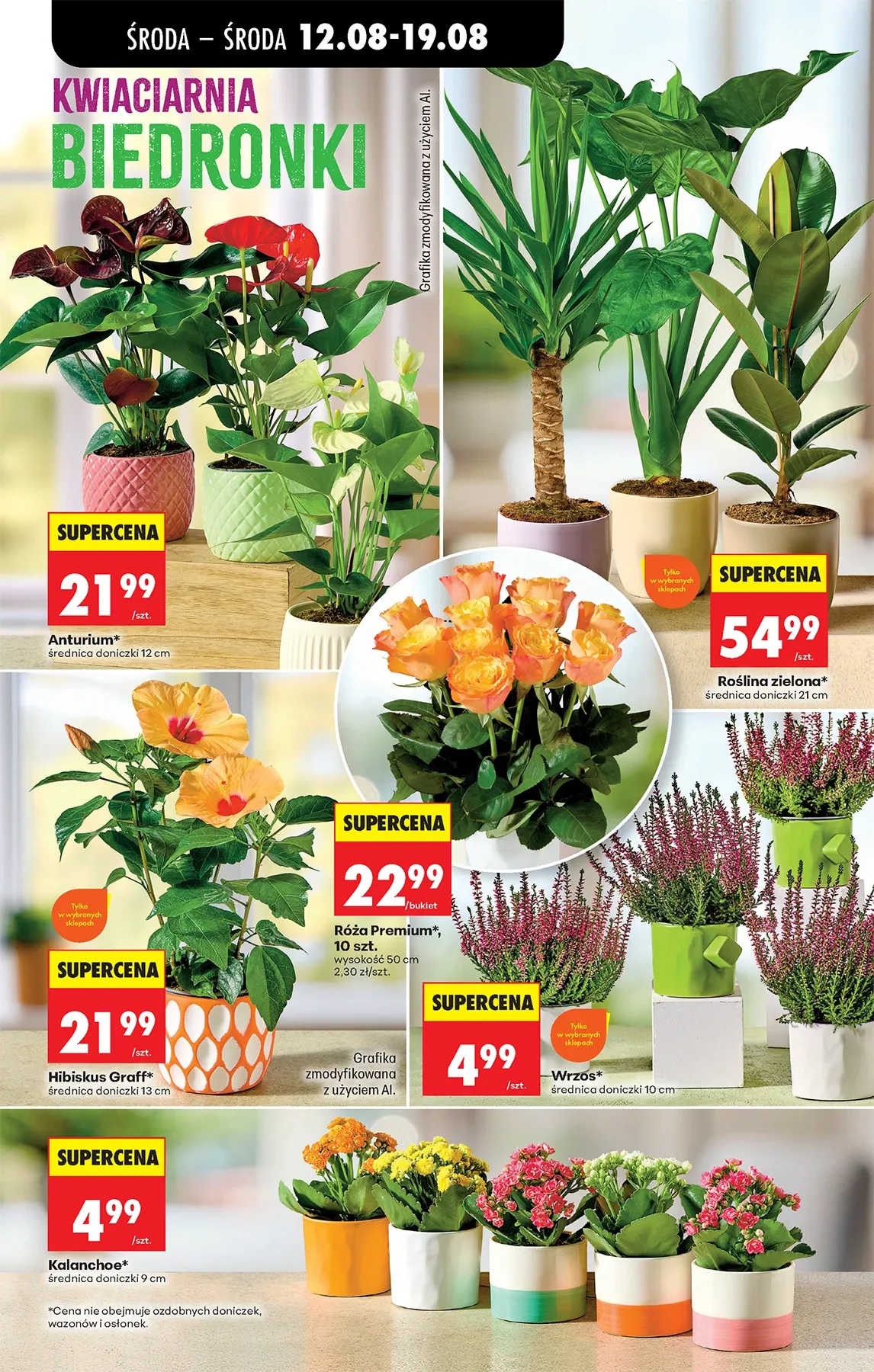 Gazetka promocyjna Biedronka str. 69