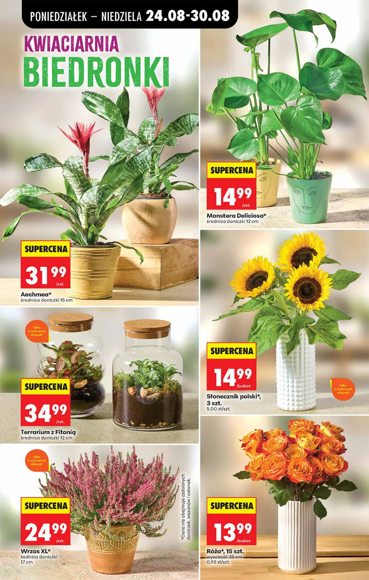 Gazetka promocyjna Biedronka str. 73