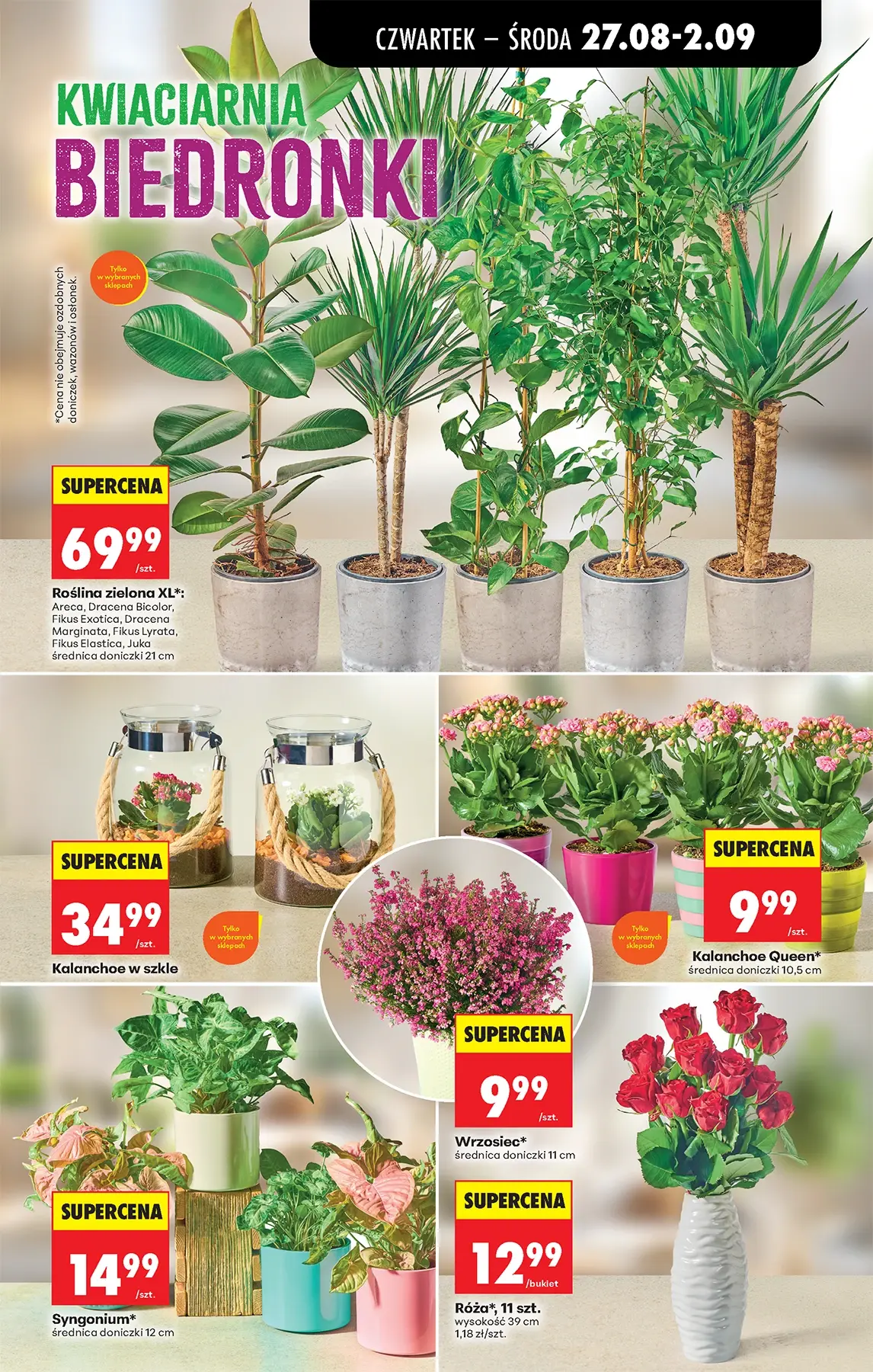 Gazetka promocyjna Biedronka str. 59