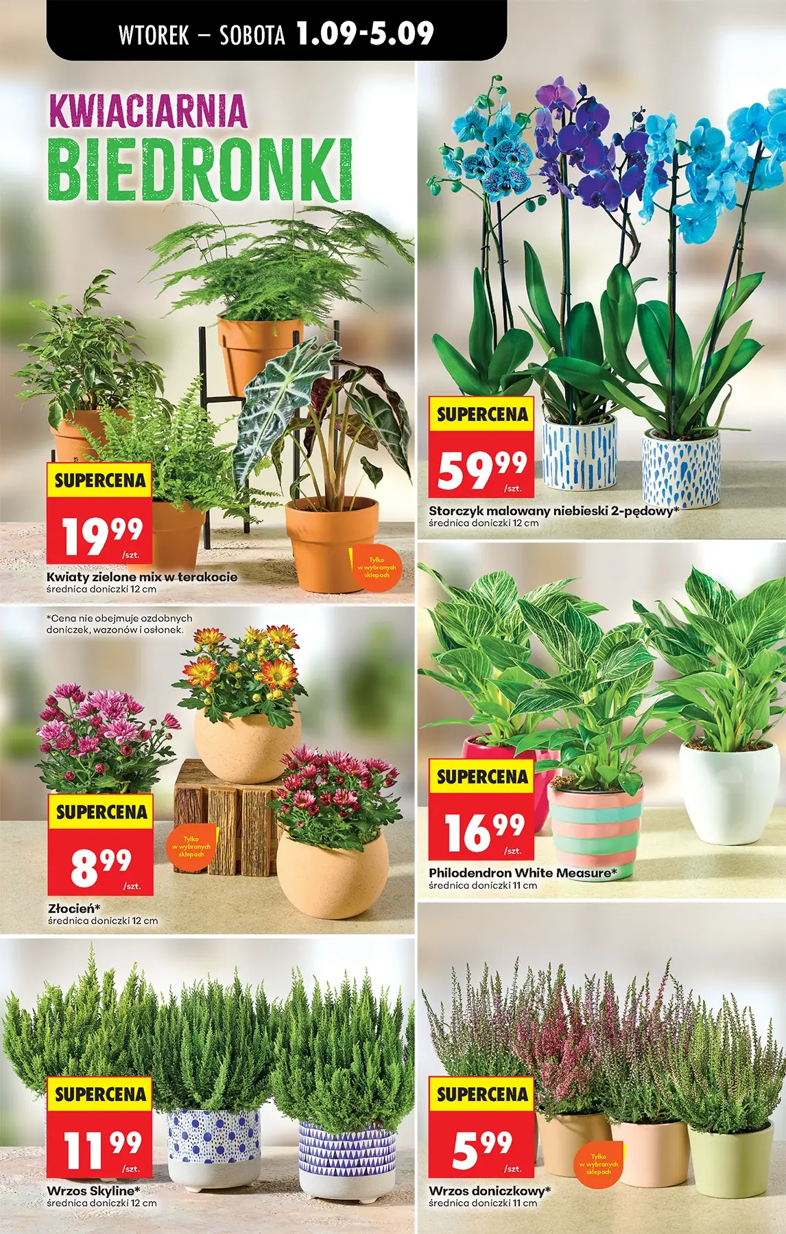Gazetka promocyjna Biedronka str. 75