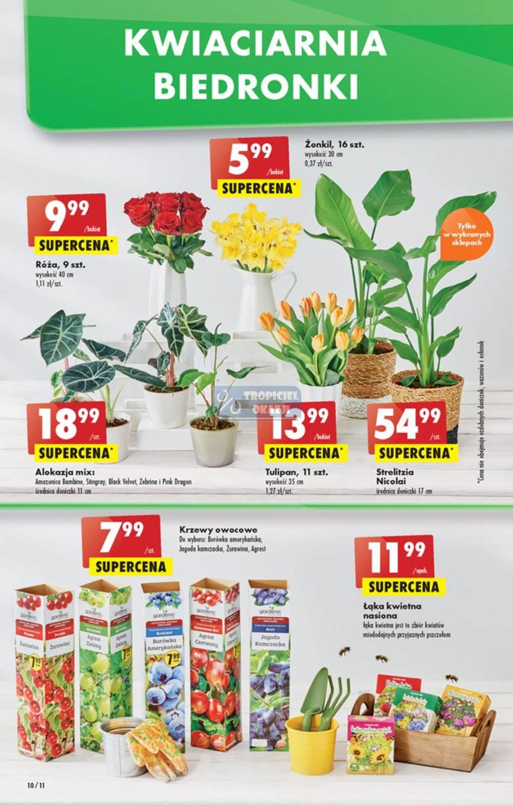 Gazetka promocyjna Biedronka str. 10