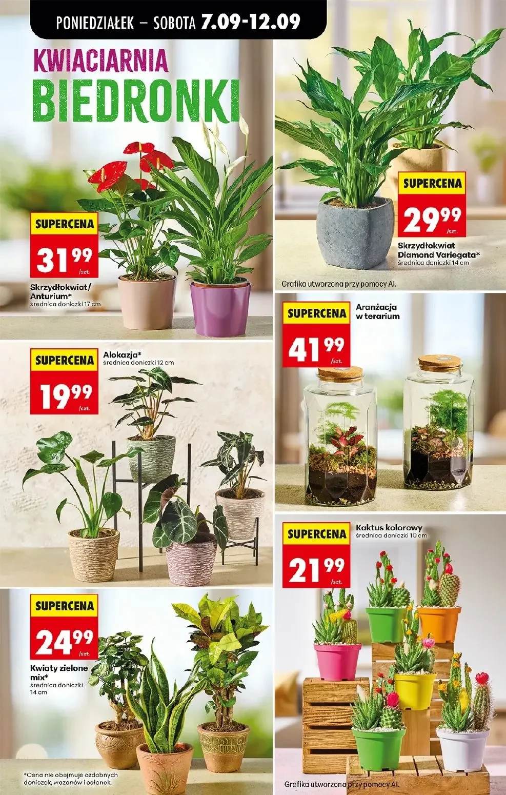 Gazetka promocyjna Biedronka str. 81