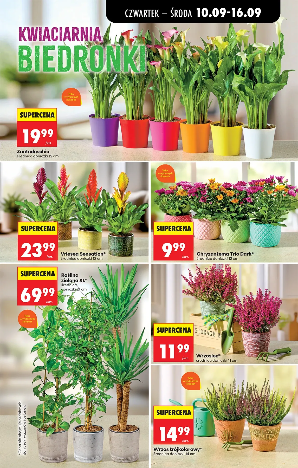 Gazetka promocyjna Biedronka str. 93