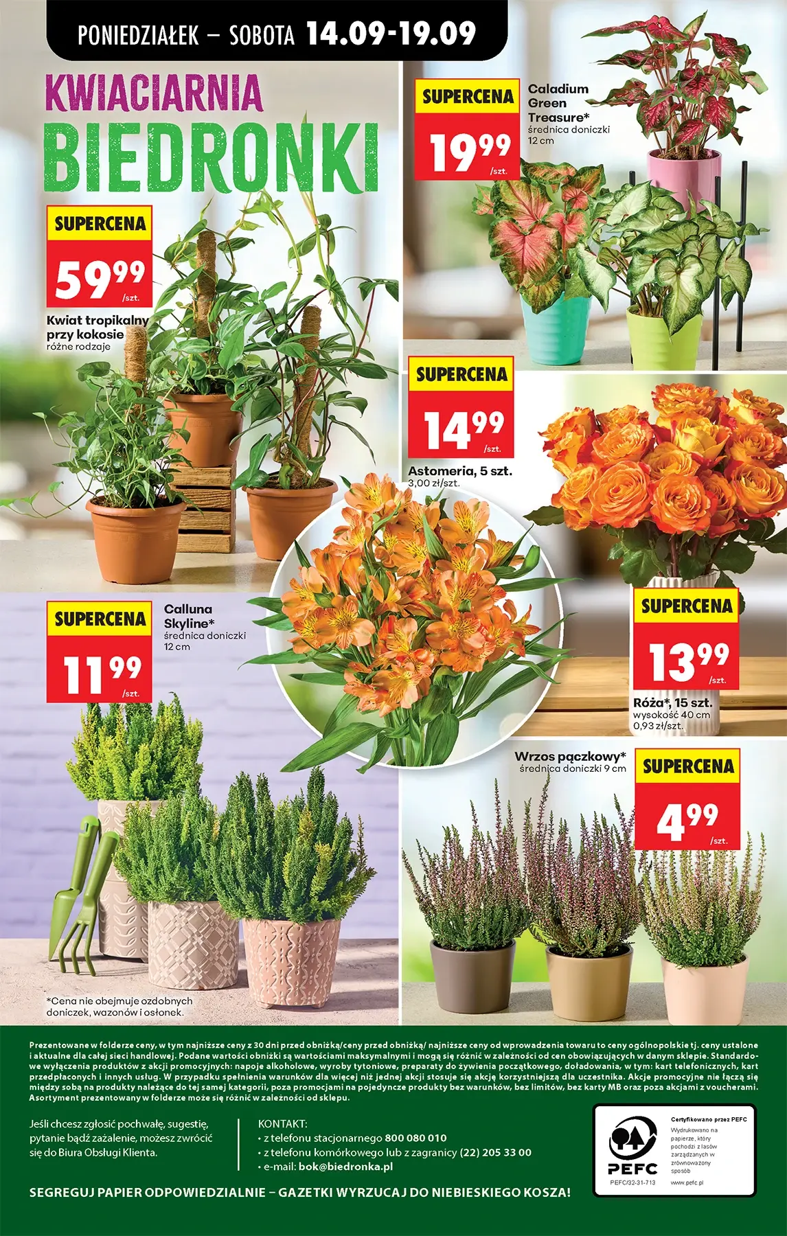 Gazetka promocyjna Biedronka str. 64