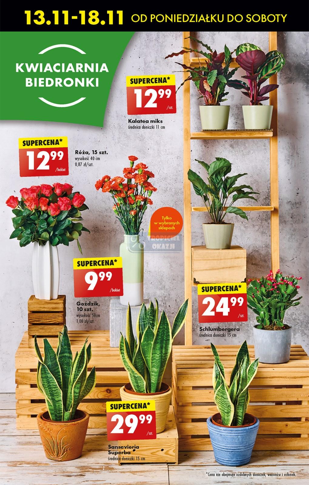 Gazetka promocyjna Biedronka str. 55