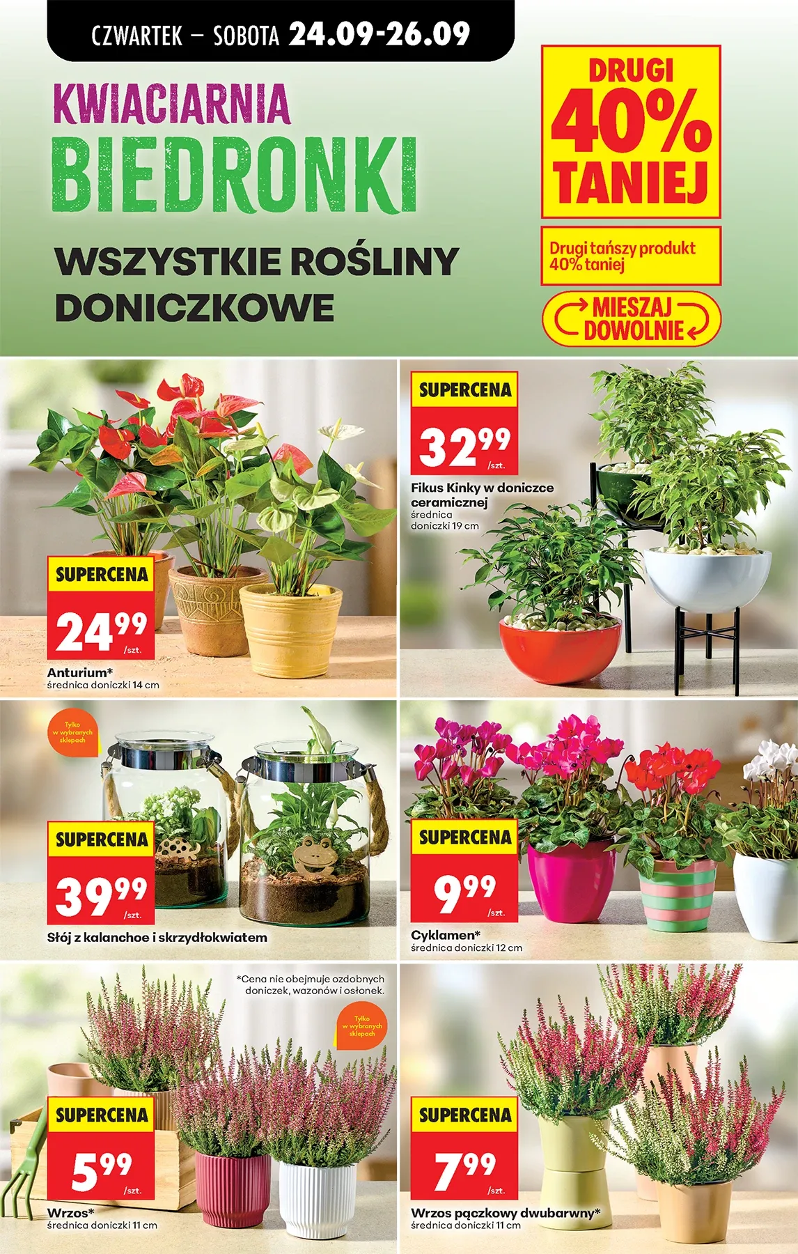 Gazetka promocyjna Biedronka str. 89