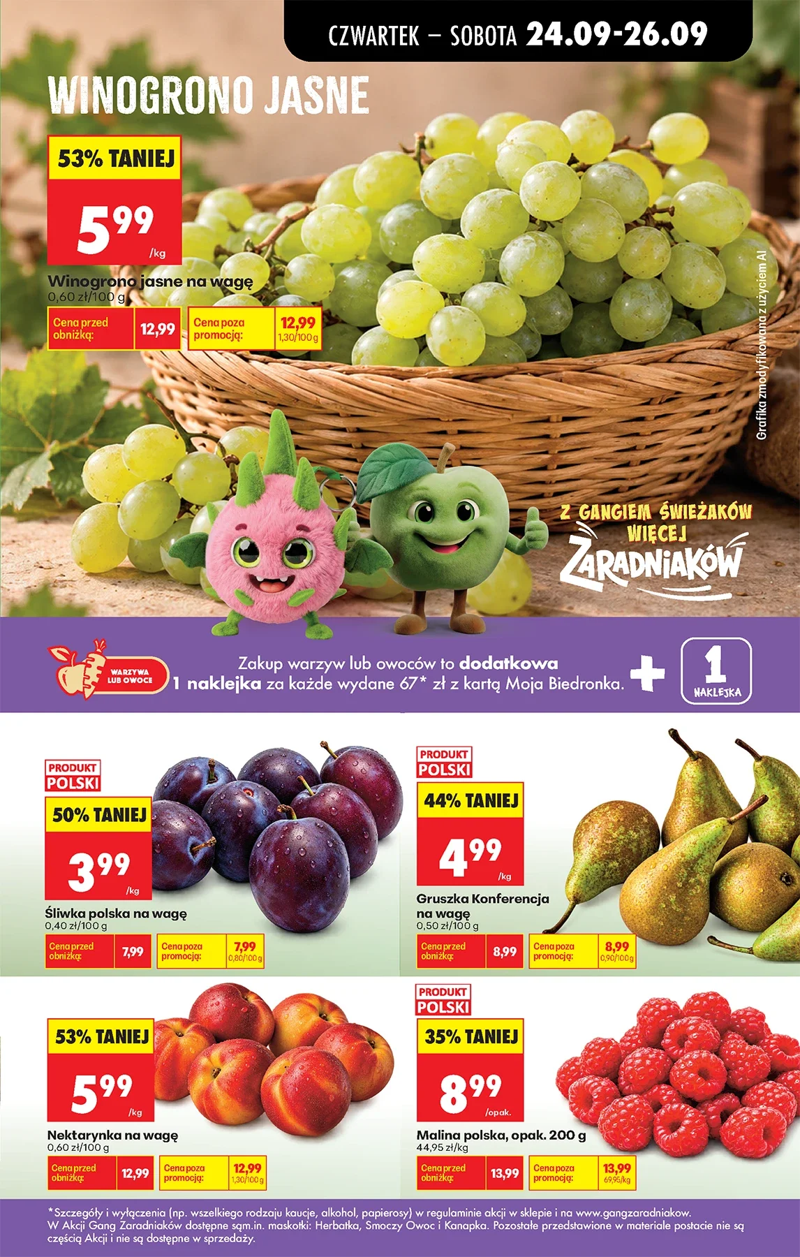Gazetka promocyjna Biedronka str. 33