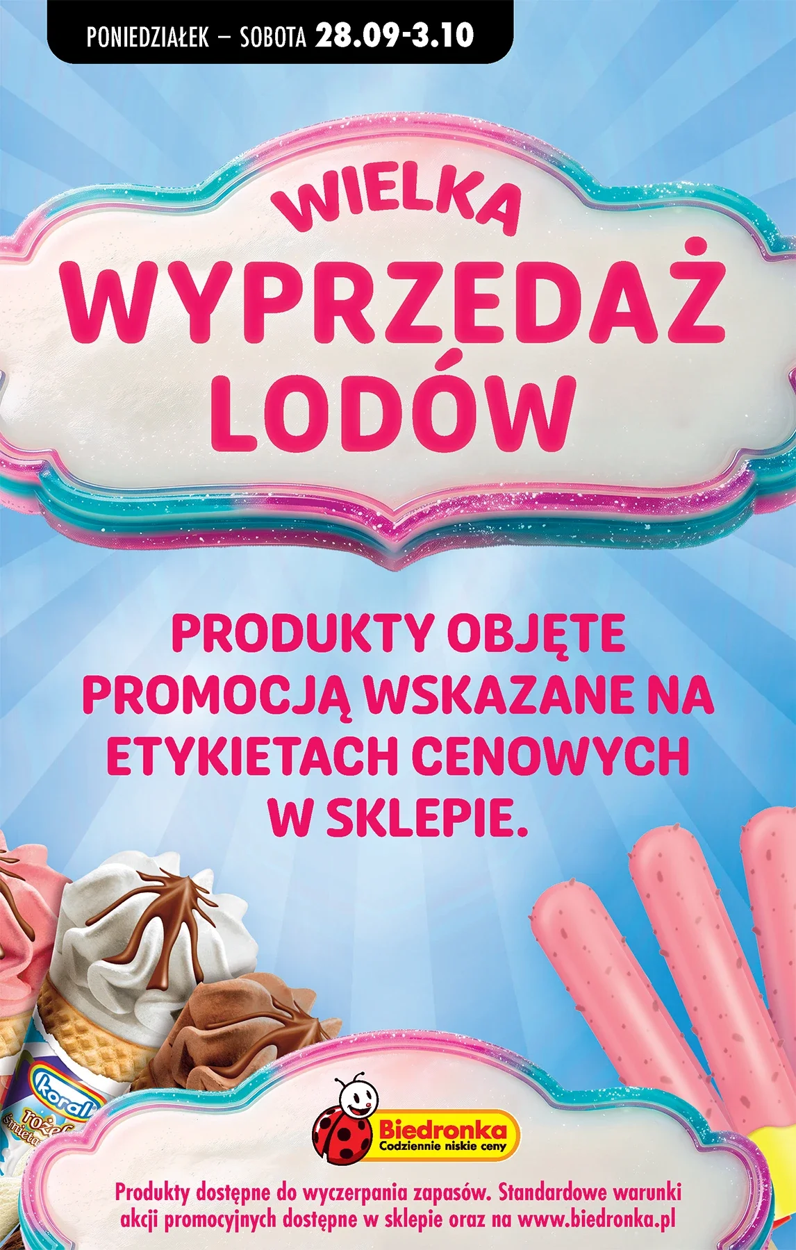 Gazetka promocyjna Biedronka str. 103