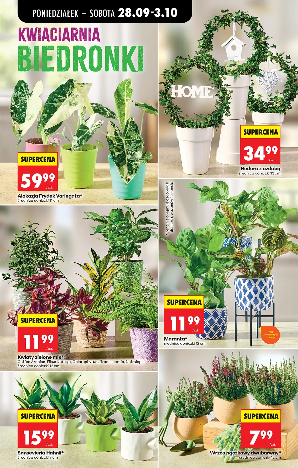 Gazetka promocyjna Biedronka str. 91
