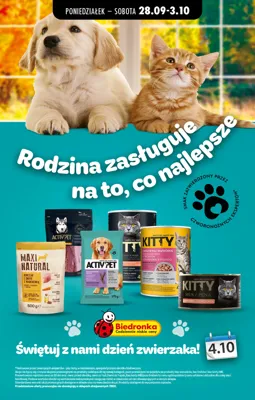Dzień zwierzaka