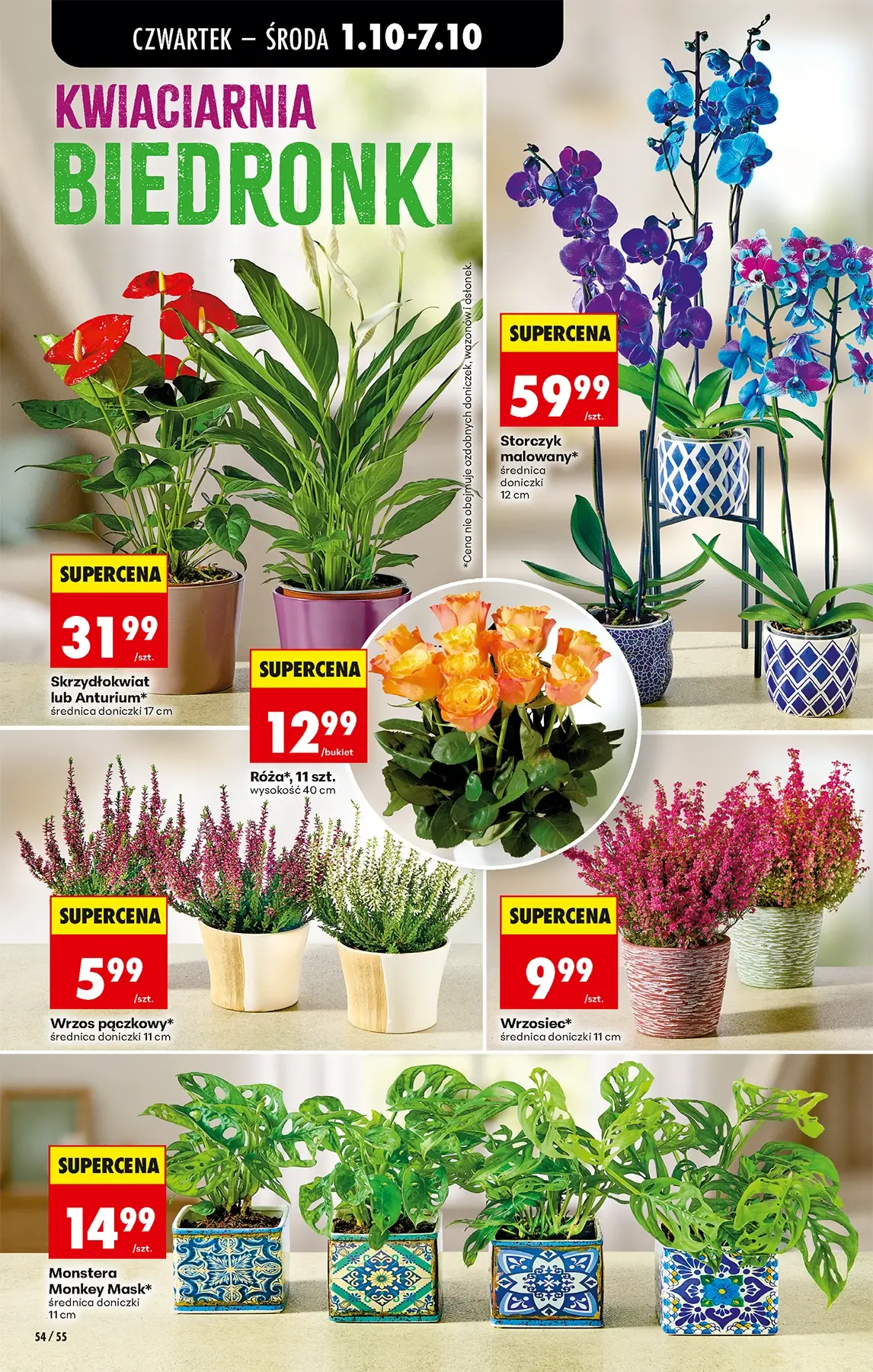 Gazetka promocyjna Biedronka str. 76