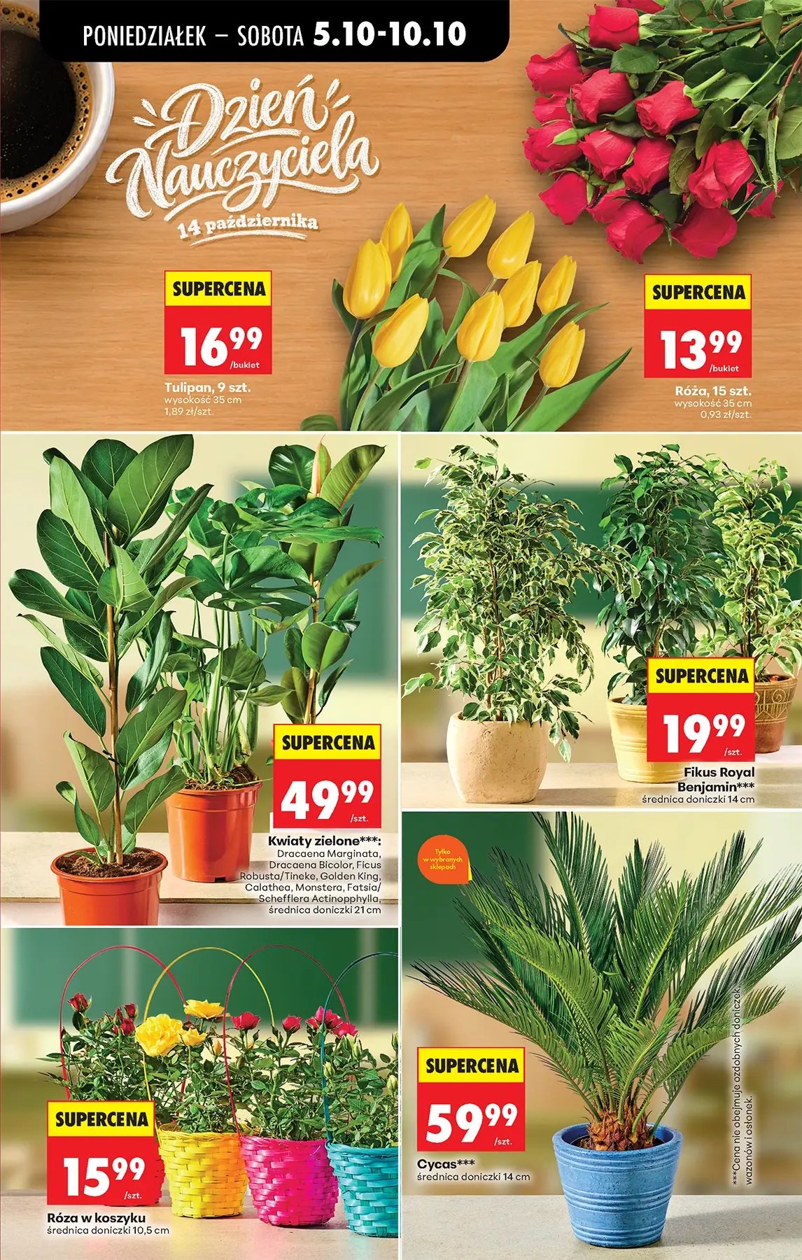 Gazetka promocyjna Biedronka str. 12
