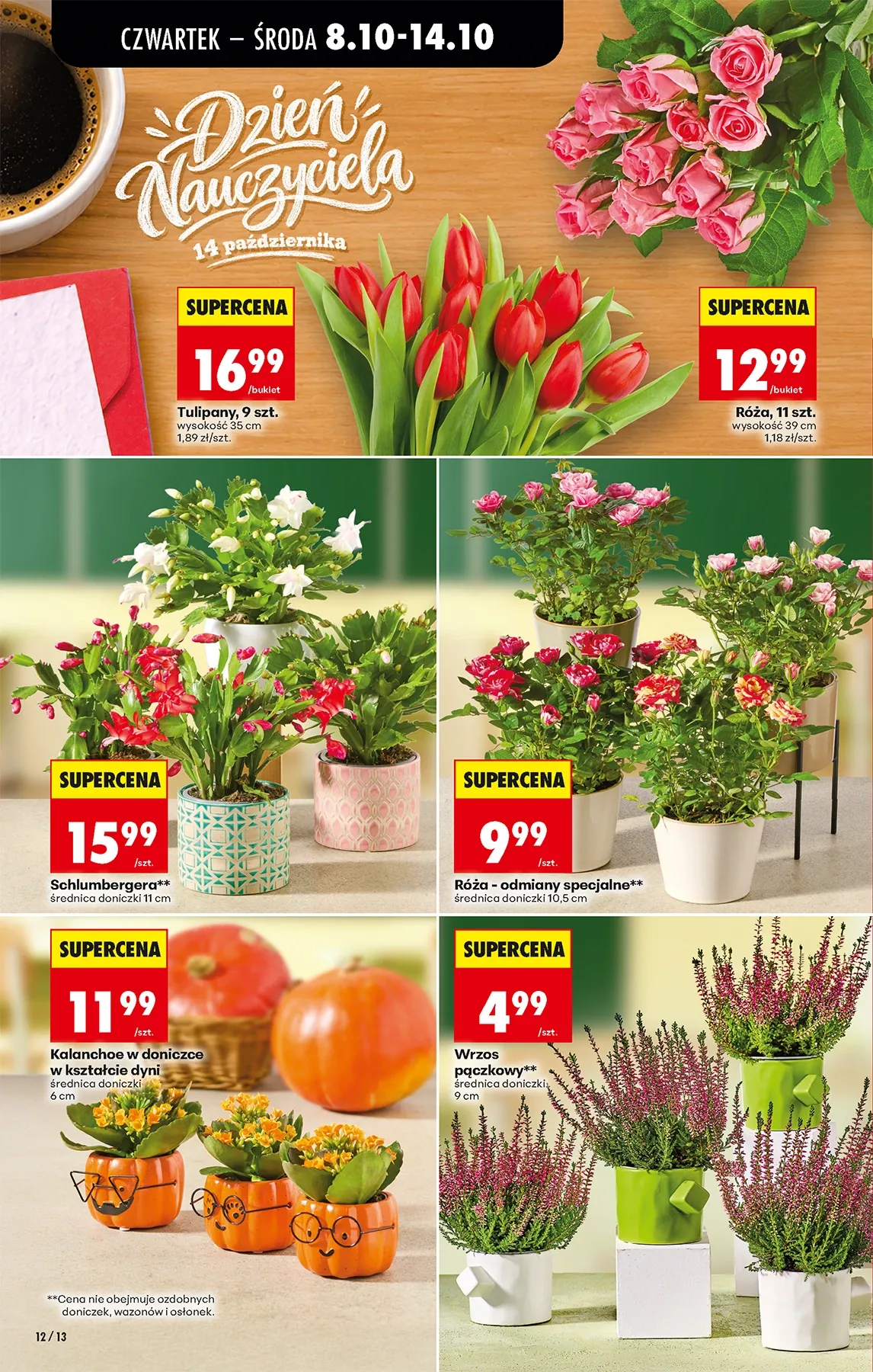 Gazetka promocyjna Biedronka str. 13