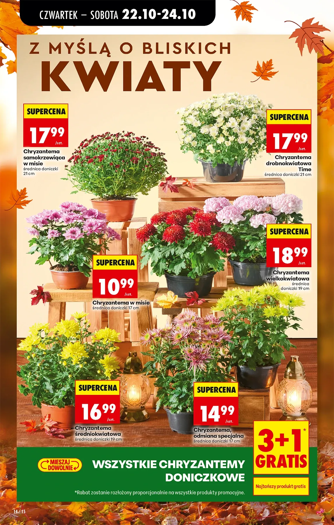 Gazetka promocyjna Biedronka str. 13