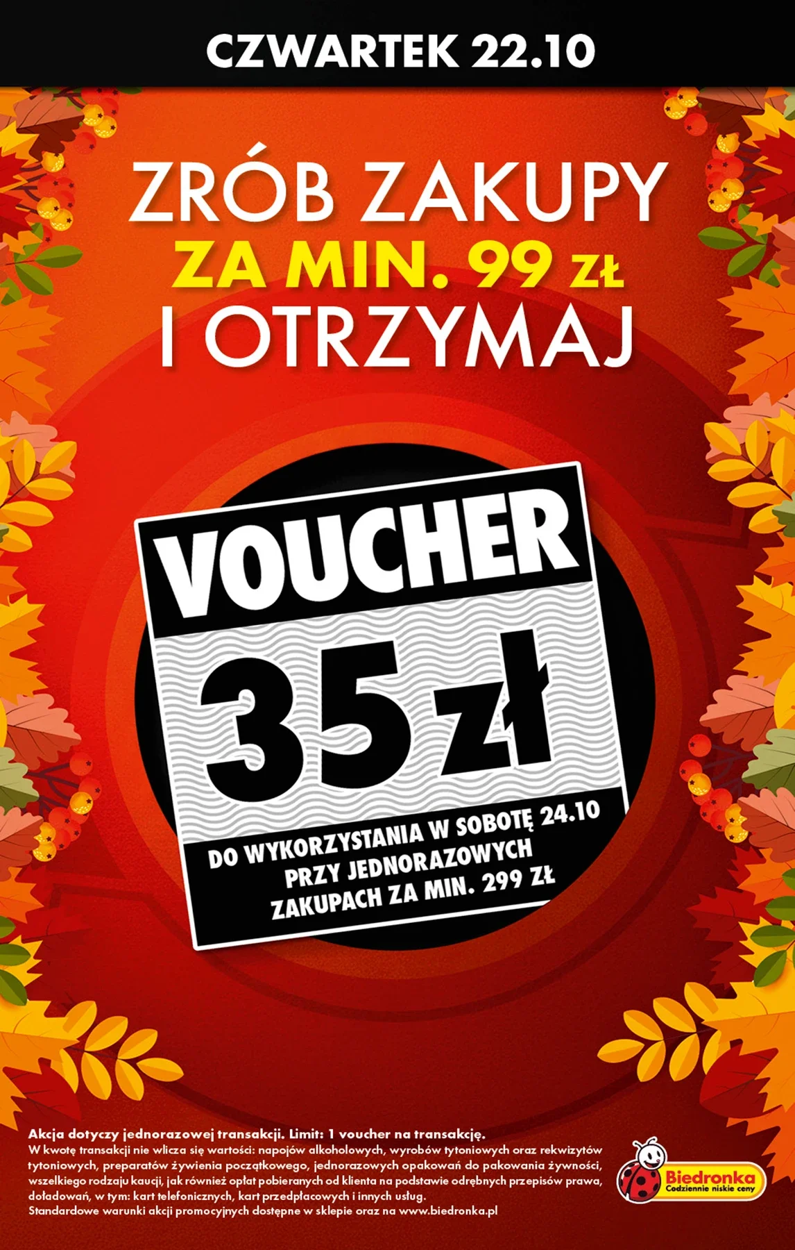 Gazetka promocyjna Biedronka str. 22