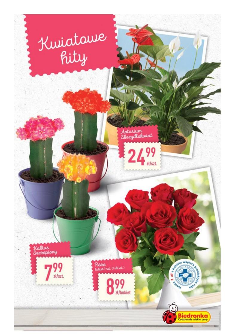 Gazetka promocyjna Biedronka str. 27