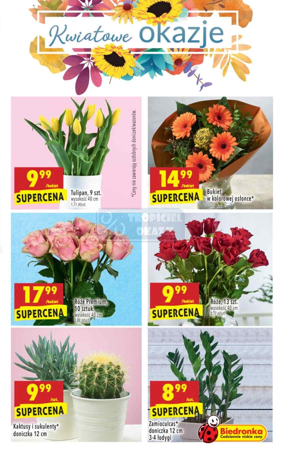 Gazetka promocyjna Biedronka str. 37