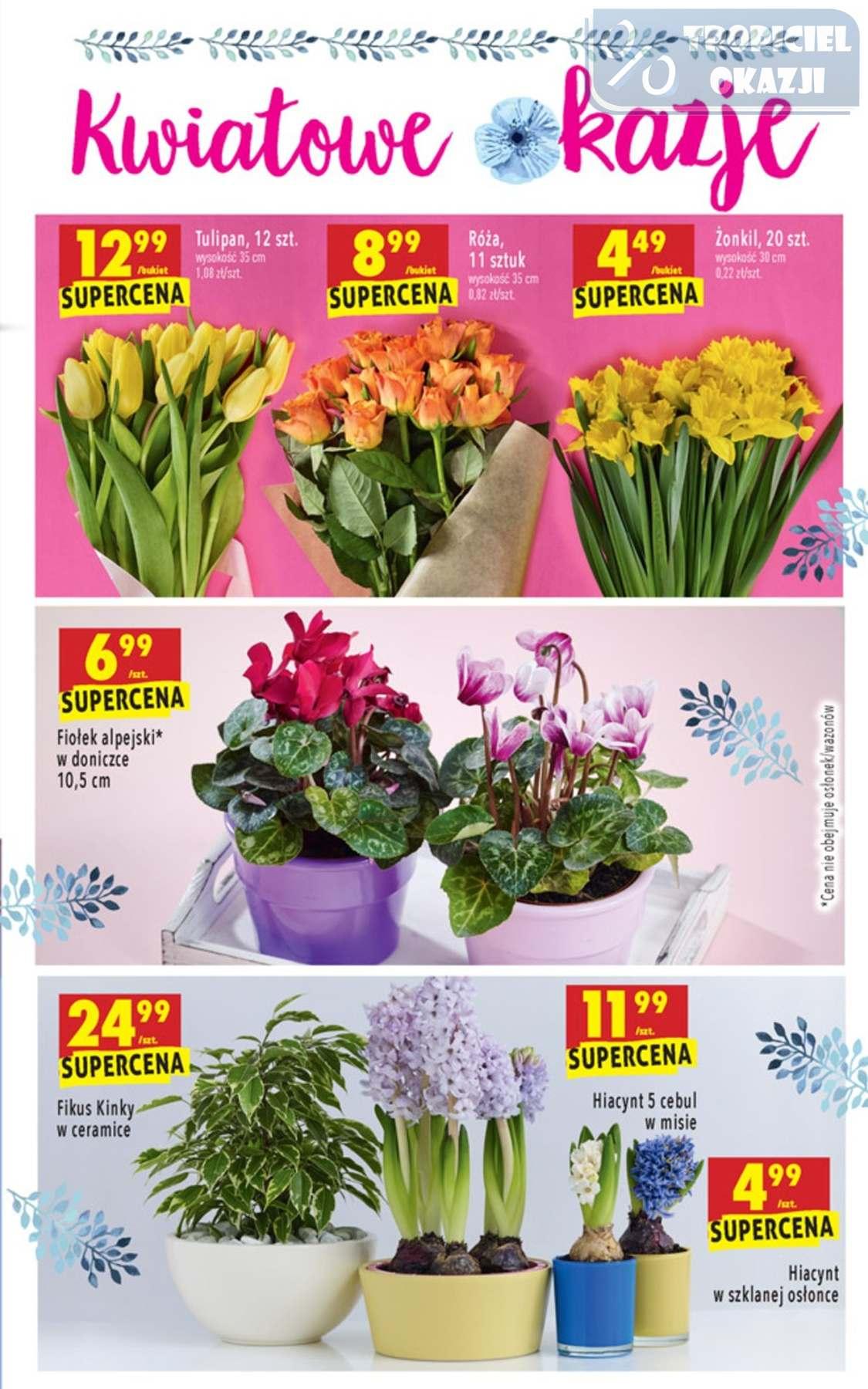 Gazetka promocyjna Biedronka str. 63