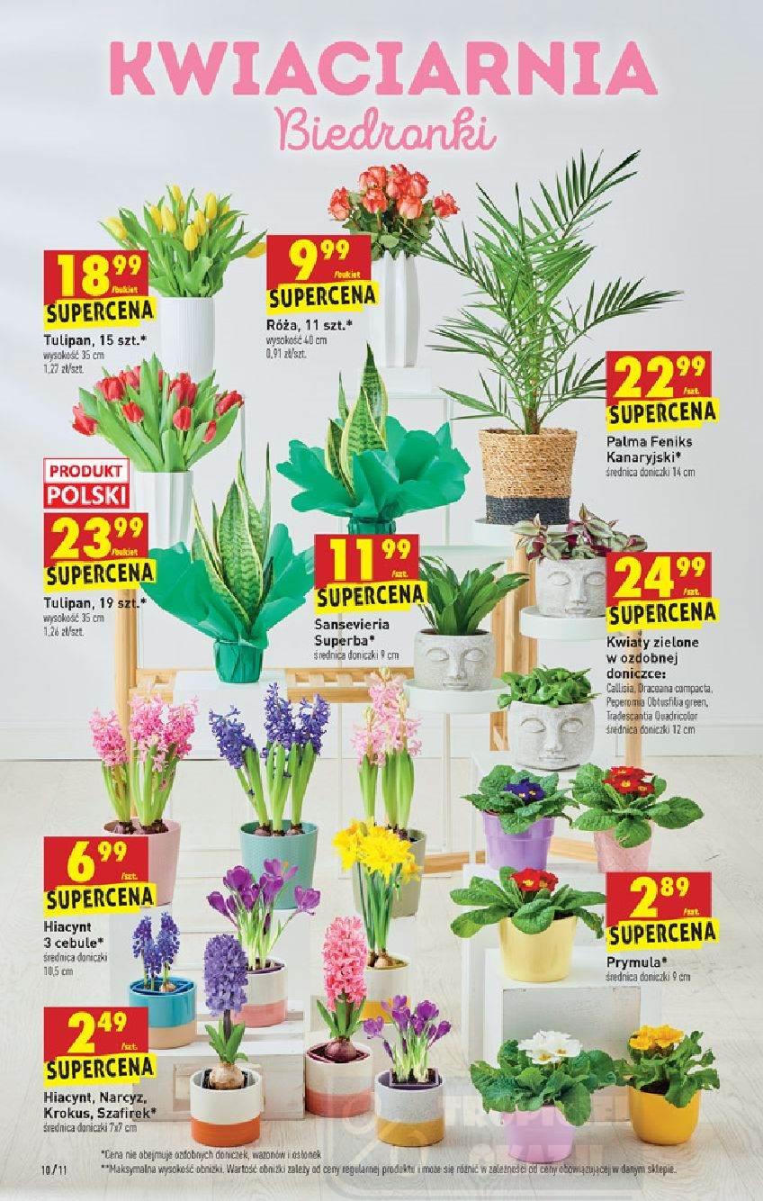 Gazetka promocyjna Biedronka str. 10